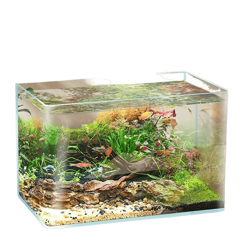 Aquarium for office for hotel