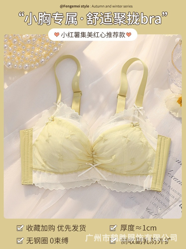 Venta directa de fábrica comercio electrónico transfronterizo Sudeste de Asia Vietnam Tailandia damas sin costuras sujetador de recogida lateral cómodo