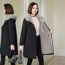 �ӽq�Ӻ�����Ůʿ���L�������������b2025�����¿�r�б�ů�ɿ˷�