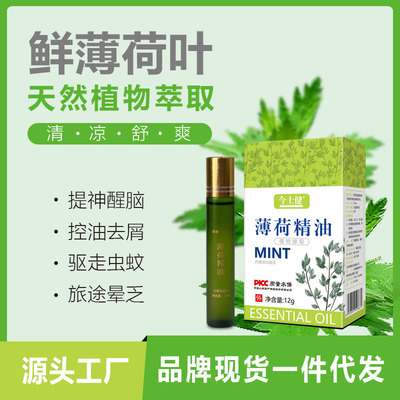 factory customized Cool oil Refresh Refreshing Sleepy fatigue Stay up late Bites Mint essential oil OEM Processing