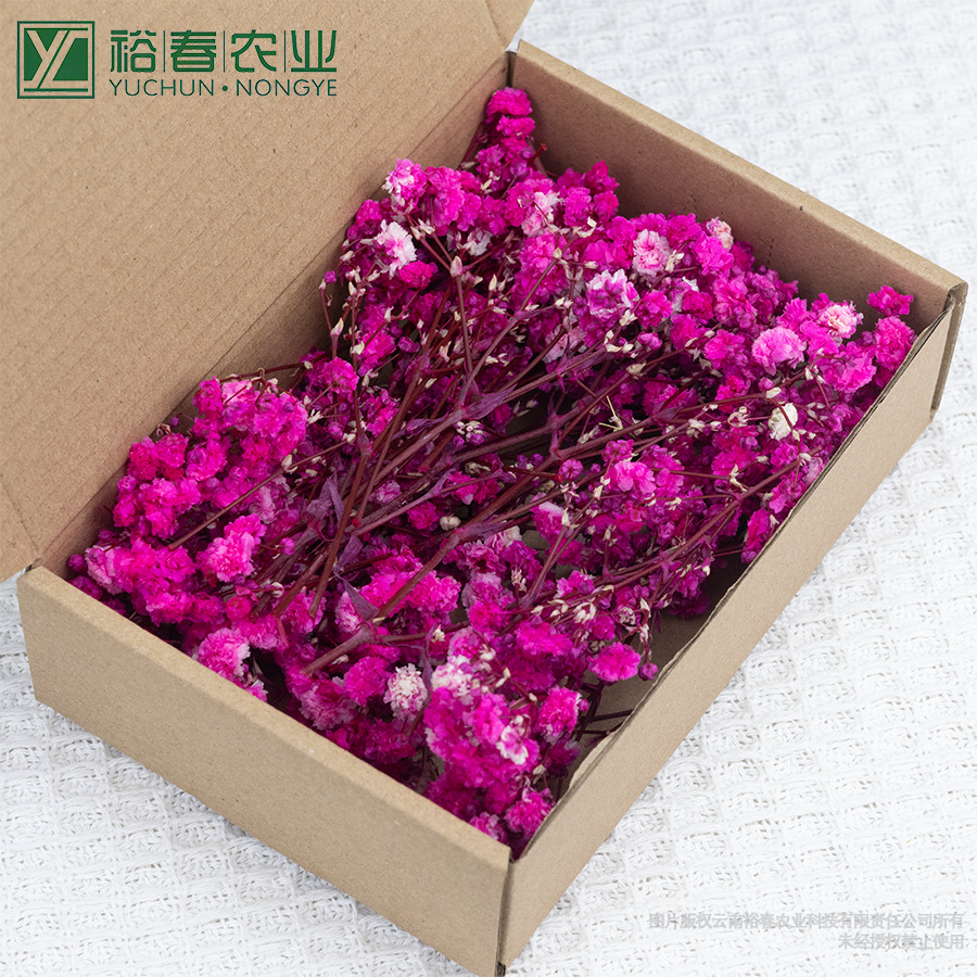 로즈 레드 안개꽃 50개입 박스