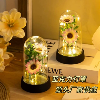 永生干花透明罩手办积木公仔手模小夜灯圆柱形防尘亚克力防摔批发