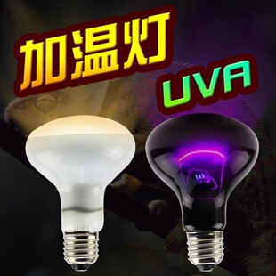 ���x�ӟ�������Ӝ؟��݌���ӟ������؟�UVA�՟�ҹ���¹��