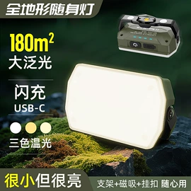 手电筒;手电筒;野营/露营灯