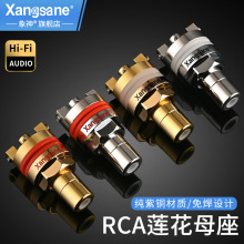 Xangsane/���� �����~僽����⺸RCAɏ��ĸ������ ����CD�C����