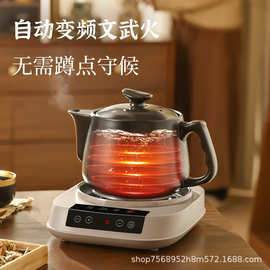 全自动智能分体式家庭煎药壶汤煲养生壶多功能砂锅熬药家用无