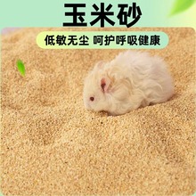 �}��|������ɰɳ������m�ļ���������������оС�w������ɰ