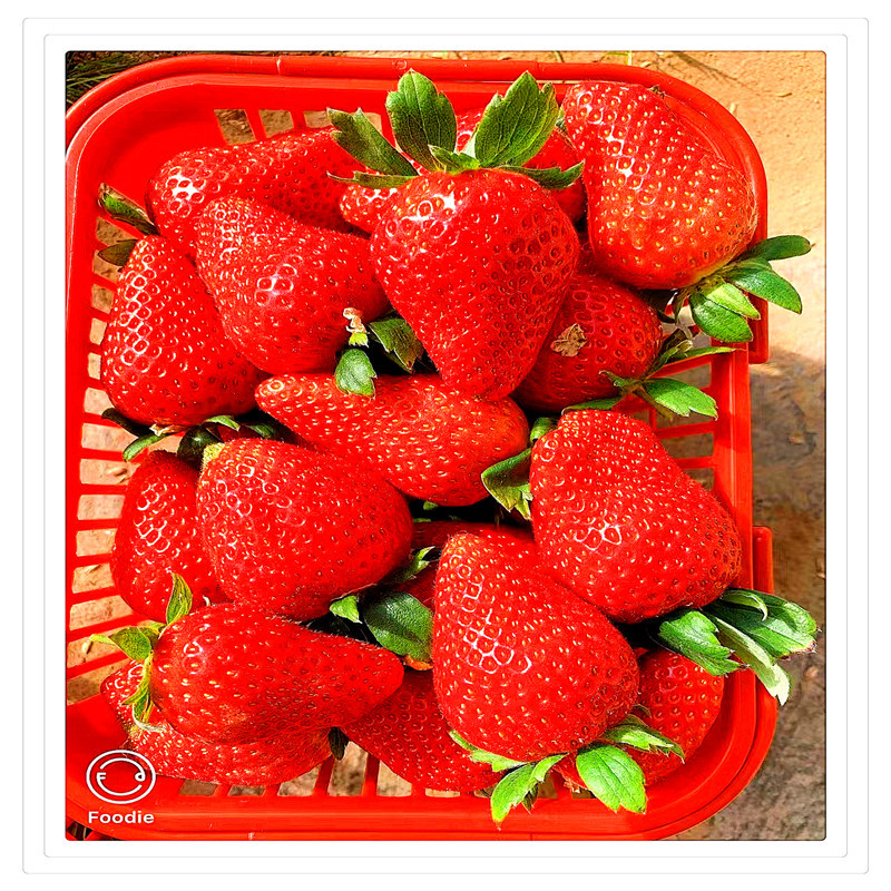 f07f5daf29e6eb53e8e066f493c816