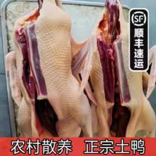 ��Ȫ�ݽ�ĸ�����}�ϰ��귬���r�������}ˮ��������ֻ���r�F��