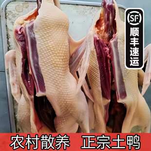 ��Ȫ�ݽ�ĸ�����}�ϰ��귬���r�������}ˮ��������ֻ���r�F��