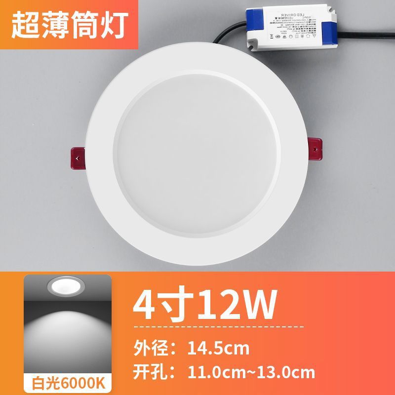 Flagship Aluminum 12W White-Open Hole 110 to 130