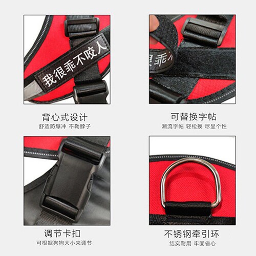 A universal pet supply for dogs, featuring a chest and back strap, outdoor anti-explosion shock-proof walking leash, suitable for small, medium, and large dogs.