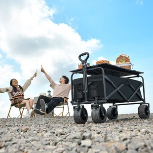 Free Shipping Metal Thickened Outdoor Camping Cart Portable Picnic Trolley for Stalls