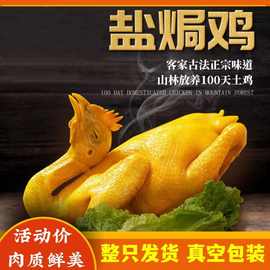 广东盐焗鸡客家特产白切鸡熟食鸡真空包装即食鸡尖手撕盐焗鸡整只