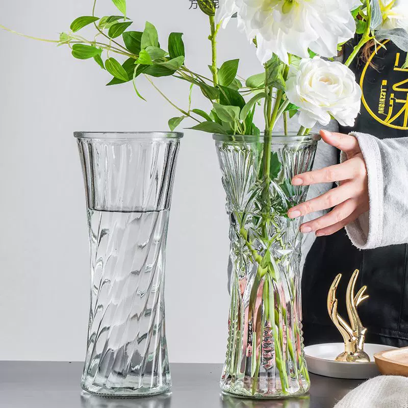 圆口大号玻璃花瓶水培植物玻璃瓶简约透明装饰客厅插花摆件亚马逊