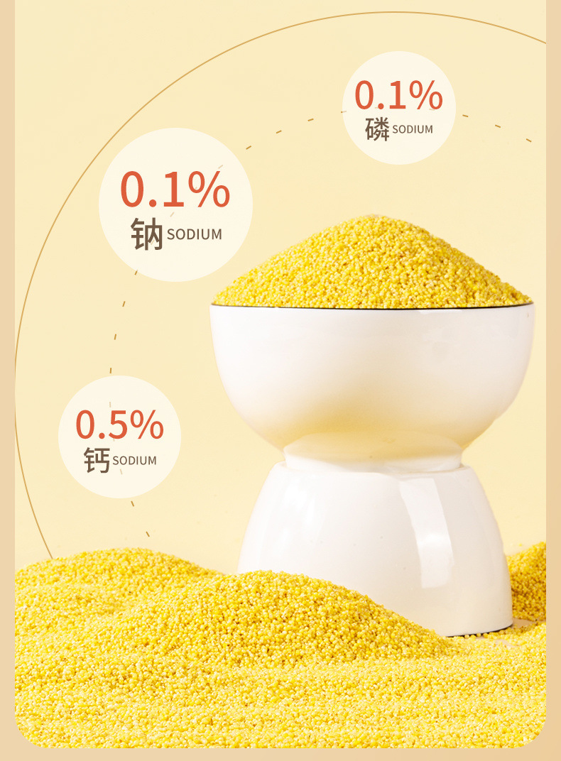 1f4da76a-8d8f-4a49-9250-1fa1db3fc5ee.jpe