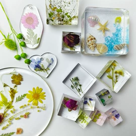 标本;创意礼品套装;树脂工艺品