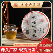 景迈山马年明前春普洱茶生茶现货批发