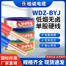 WDZ-BYJou͟늾1.5/2.5/4/6mm~b̲Ӳ