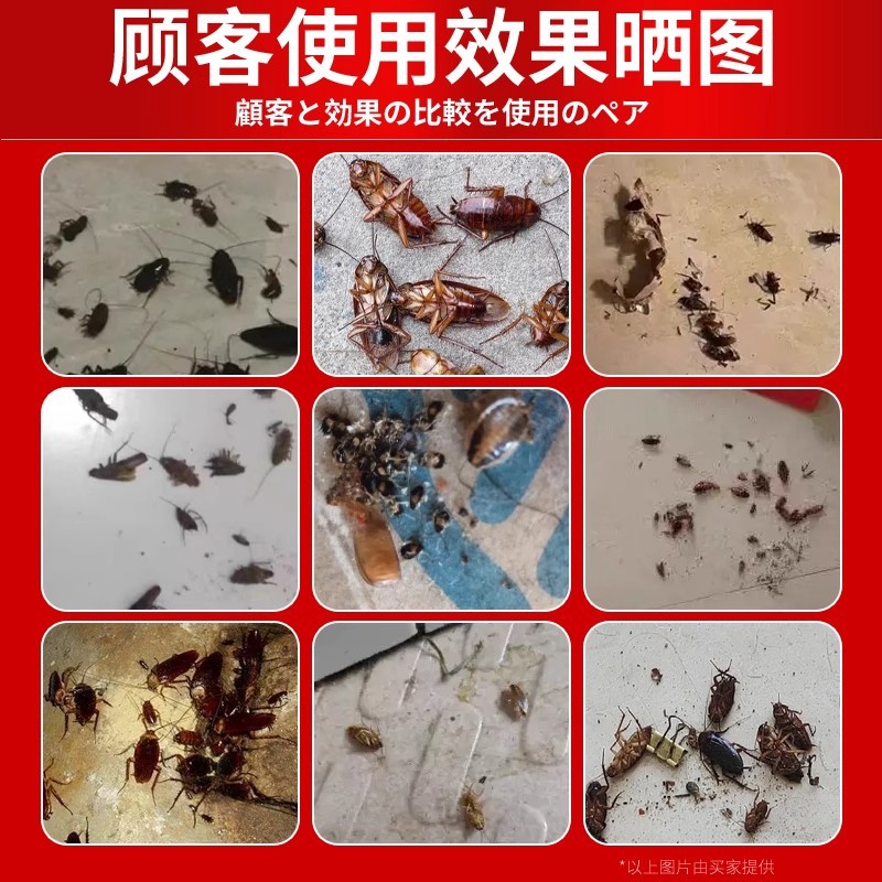 Medicina para las cucarachas, huevos de insectos domésticos, nido completo, tienda insignia auténtica, sin restaurante, un nido, potente veneno de cebo de goma para matar cucarachas