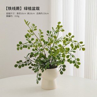 Nordic simulation green plants potted indoor living room desktop office decorations dining table ornaments cross-border wholesale