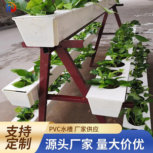 ���ˮ��ֲ�ﻨ��pvc��ˮ��u�ͼ���ˮ�� ��ɫ������ˮ��ϵ�y���l