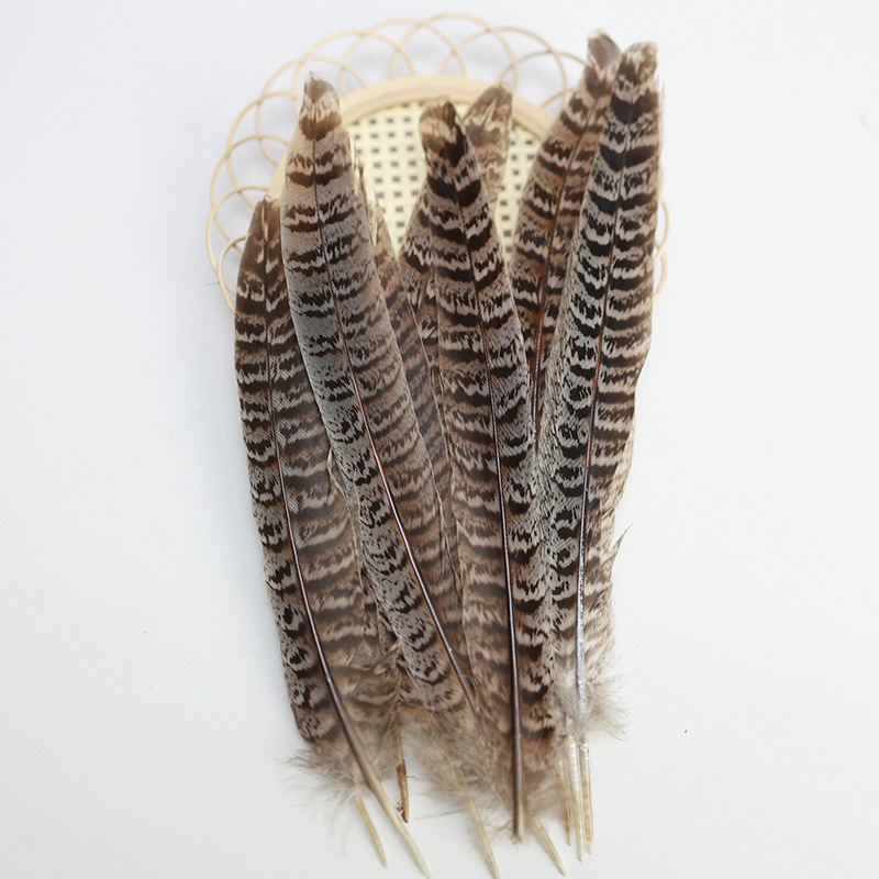 Mayorista 15 - 100cm plumas de cola de pollo de montaña, plumas de gato, plumas de gallo de montaña, plumas de gallo de Beijing, plumas de gallo salvaje