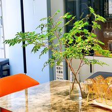 Иˮr֦҃ȿ͏dbRľRƽWtGֲ