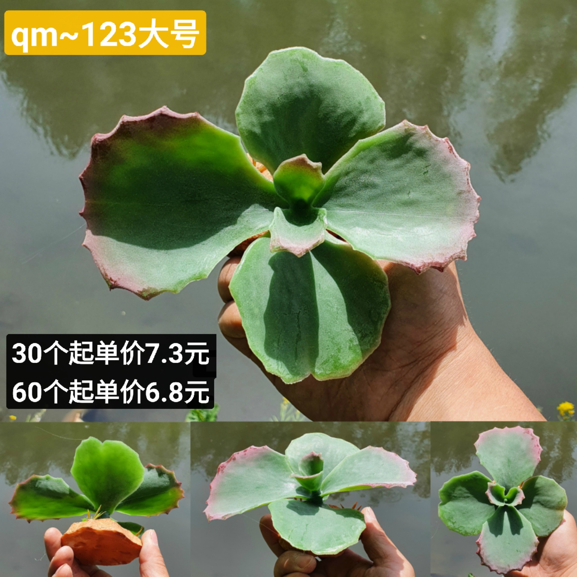 微信图片_20220422190754