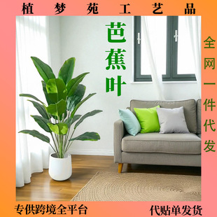 ����ֲ��18�^���˽������B���W��Ž��~�Gֲ�@���b��쾰�٘�羳