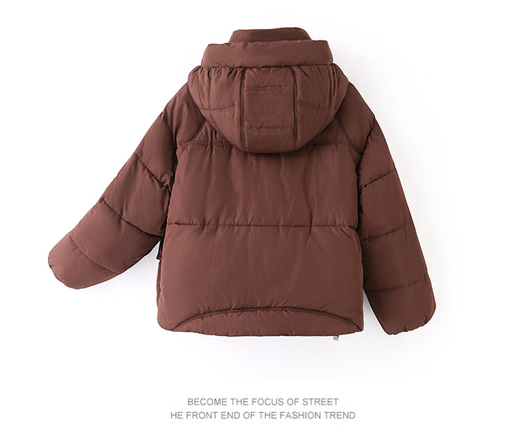 sieviešu īss korejiešu 2024. gada ziemas apģērbs, jauna brīva kokvilnas maza un bieza maizes jaka, moderna dūnu jaka_voghion.com