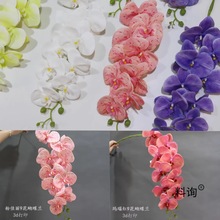 ��c����߶˲廨��ɫ�����m�������m�b�Y������·�����Q����