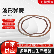 定制波形弹簧异型波簧压缩弹簧非标准件不锈钢异形弹簧