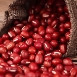 �������l��С���tС���r�ҳ�С�� ����s�Z��ɢ�b��С���tС��