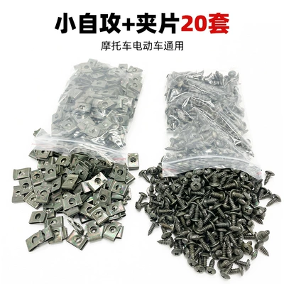 Port Clips, Iron Sheets, Cards: Other Electric Vehicle Accessories - small-self-tapping-screws-clips-20-sets