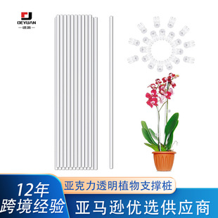 Phalaenopsis Climbing Plant Plant Support Rod Transparent Acrylic Rod Orchid Gardening Styling Fixed Frame