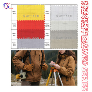 �F؛���o늜���ȫ�����W��б�y��TC65/35�Ӻ��ﶬ���b��ɫ������