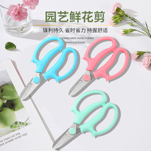 ��ˇ���������r����õ�廨�������P䓶๦����֦����֦�@�ֹ���