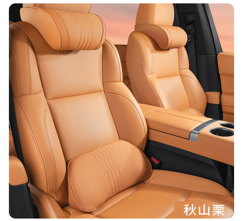 Suitable for Bmw Car Pillows, Neck Pillows, New 5 Series, 3 Series, 1 Series, 7 Series, X1, X3, X5, X6 Lumbar Cushions, Car Interior Accessories