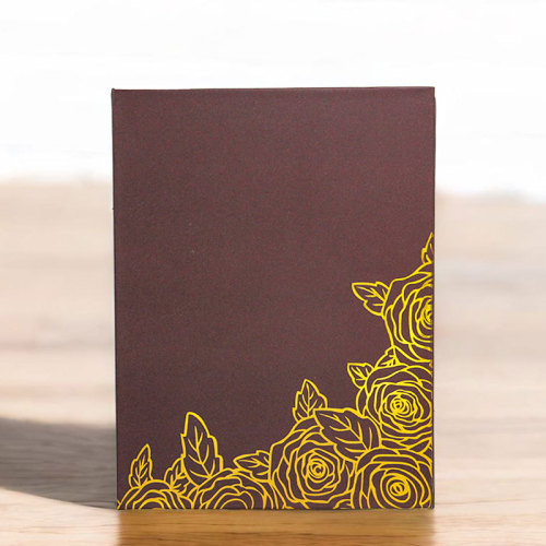 Shengyu New 4R6-inch 100-sheet Insert Album European Classic Gold Foil Cover Children's Album Cross-border