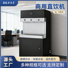 顺深浩RO反渗透净水器立式温热节能商用直饮水机直饮带过滤开水器