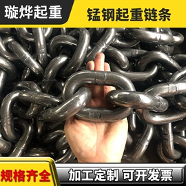 起重链条;起重葫芦;运输搬运设备