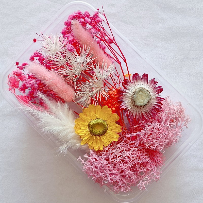 Festival bricolaje hecho a mano material de flor eterna planta flor seca florero flotante aromaterapia flor seca abanico de material paquete al por mayor