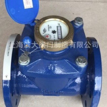 上海水表厂水表 上水牌法兰水表冷水表可拆式冷水表LXLC  DN100