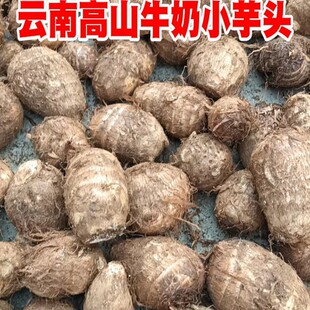 ���ţ�����^ë���^�����r�F���ȰlС����ܛŴ������5���b