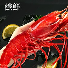 红魔虾鲜活甜虾刺身水产海鲜大虾非莫桑比克西班牙海鳌虾生腌