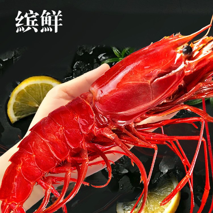红魔虾鲜活甜虾刺身水产海鲜大虾非莫桑比克西班牙海鳌虾生腌
