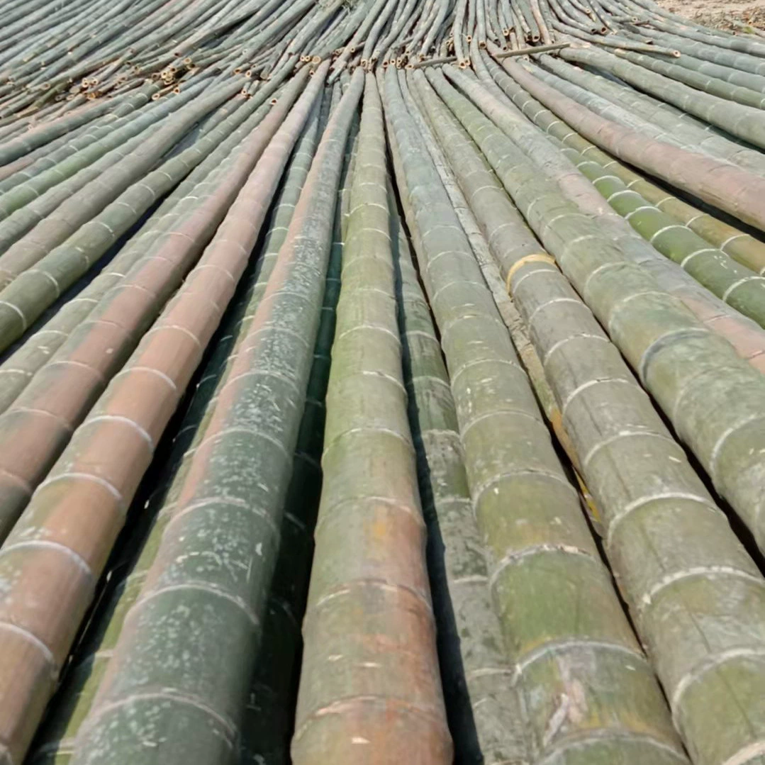 Многолетние поставки различных спецификаций бамбука оптом все виды строительства бамбука в наличии продажи всех видов бамбука продукции