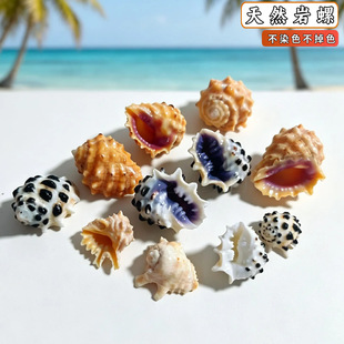 ��Ȼ����ؐ���Ͽ��S�X�ۿ�  �~���쾰�ľ�з��Q�� DIY�ֹ���
