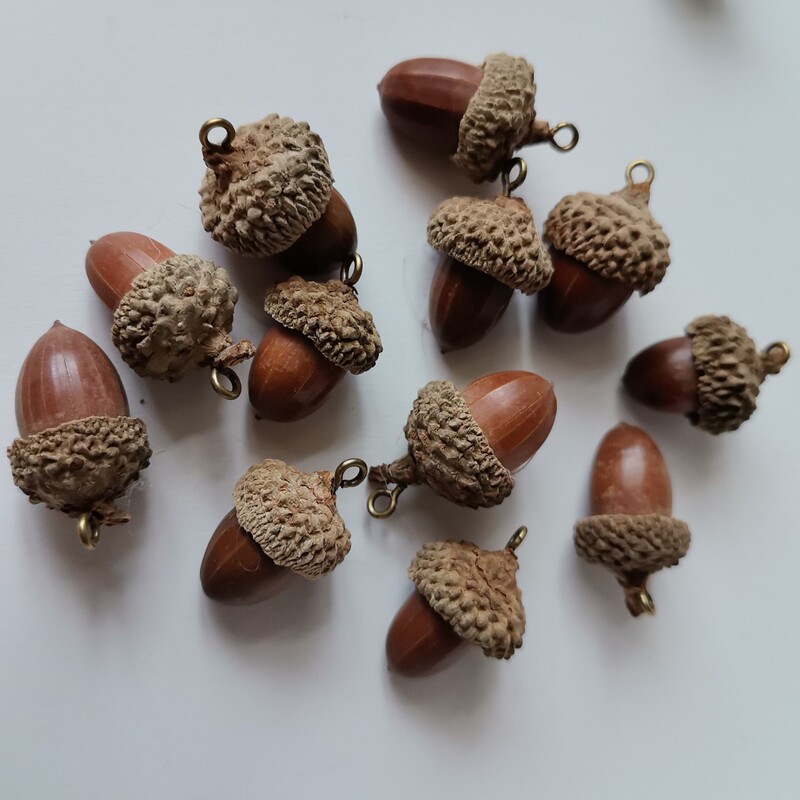 Acorns with Spikes, Pine Cones, Christmas Decorations, Forest-Themed Kindergarten DIY Accessories, Natural Cracked Small Acorns, Dried Fruits